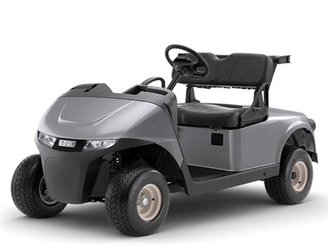 2024 E-Z-GO Freedom RXV ELiTE
