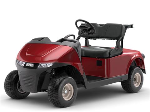 2024 E-Z-GO Freedom RXV EX1