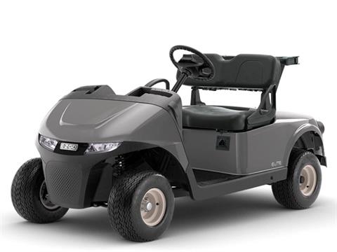 2025 E-Z-GO Freedom RXV ELiTE