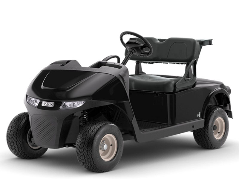 2025 E-Z-GO Freedom RXV EX1 in Laconia, New Hampshire - Photo 1