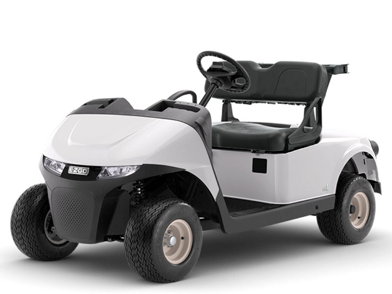 2025 E-Z-GO Freedom RXV EX1 in Laconia, New Hampshire - Photo 1