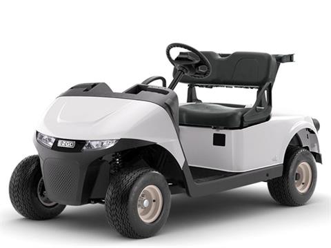 2025 E-Z-GO Freedom RXV EX1 in Laconia, New Hampshire - Photo 1