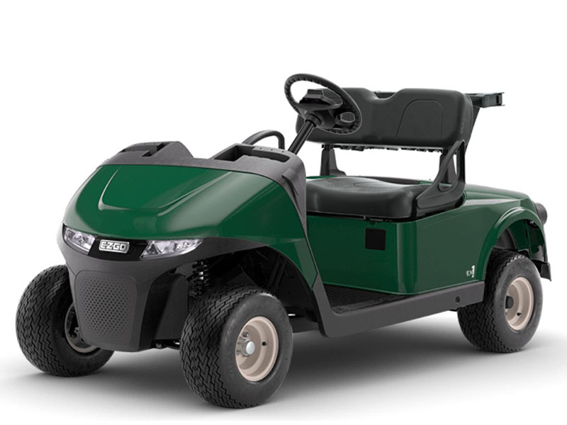 2025 E-Z-GO Freedom RXV EX1 in Laconia, New Hampshire - Photo 1