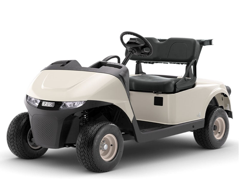 2025 E-Z-GO Freedom RXV EX1 in Laconia, New Hampshire - Photo 1