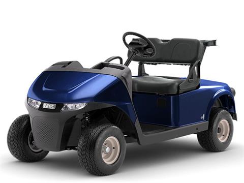 New 2025 E-Z-GO Freedom RXV EX1 Golf Carts in Mazeppa, MN | Stock