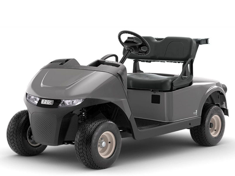 2025 E-Z-GO Freedom RXV EX1 in Laconia, New Hampshire - Photo 1