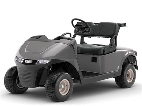 新品 ガーガ gahga MoonRider GAHGA edition New 2025 E-Z-GO Freedom RXV EX1, Slippery Rock PA | Specs, Price