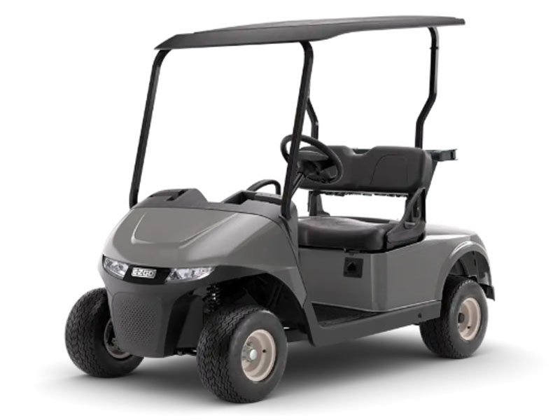 2026 E-Z-GO Freedom RXV ELiTE Lithium in Rancho Murieta, California - Photo 1