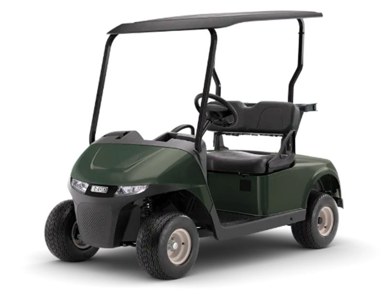 2026 E-Z-GO Freedom RXV Gas in Laconia, New Hampshire - Photo 1