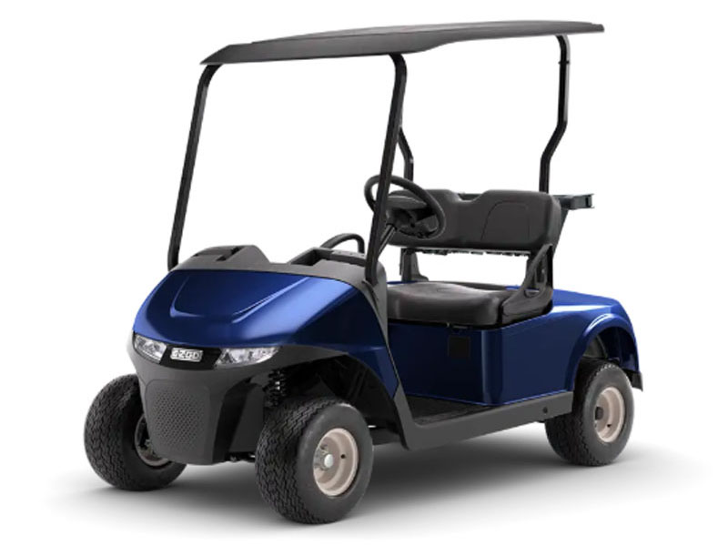 2026 E-Z-GO Freedom RXV Gas in Laconia, New Hampshire - Photo 1