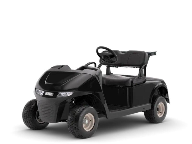 2026 E-Z-GO RXV 2 Freedom EX1 Gas in Laconia, New Hampshire - Photo 1