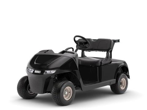 2026 E-Z-GO RXV 2 Freedom EX1 Gas