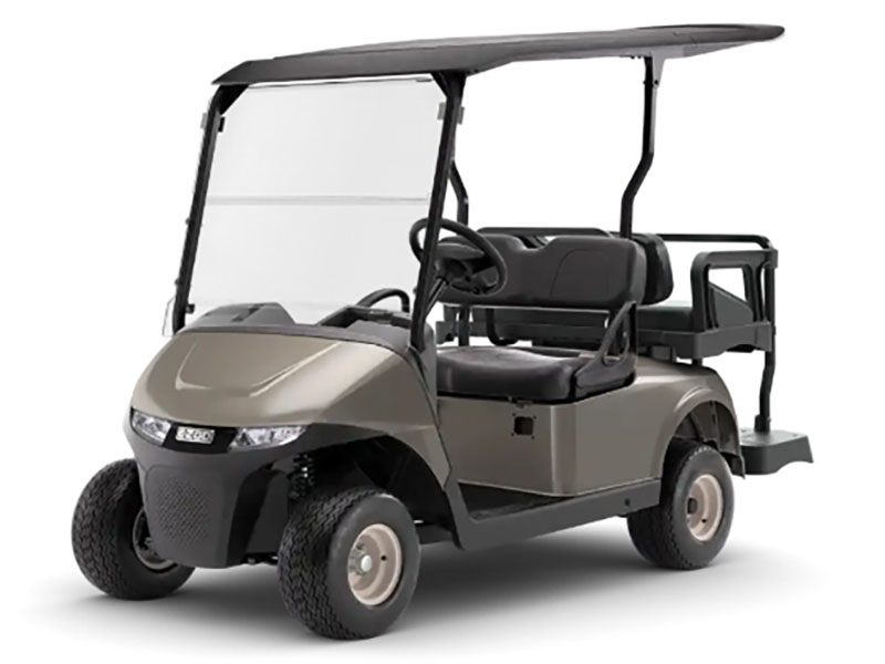 2026 E-Z-GO RXV 4 Freedom EX1 Gas in Laconia, New Hampshire