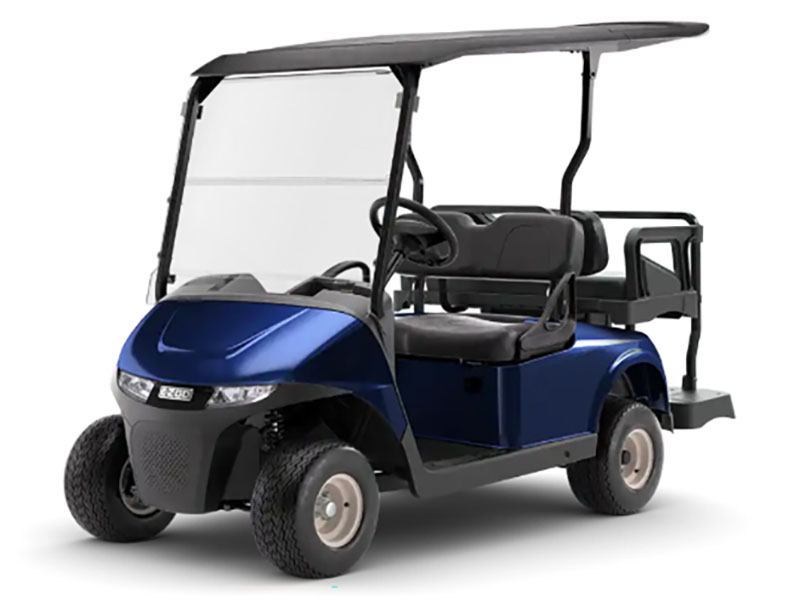 2026 E-Z-GO RXV 4 Freedom EX1 Gas in Laconia, New Hampshire