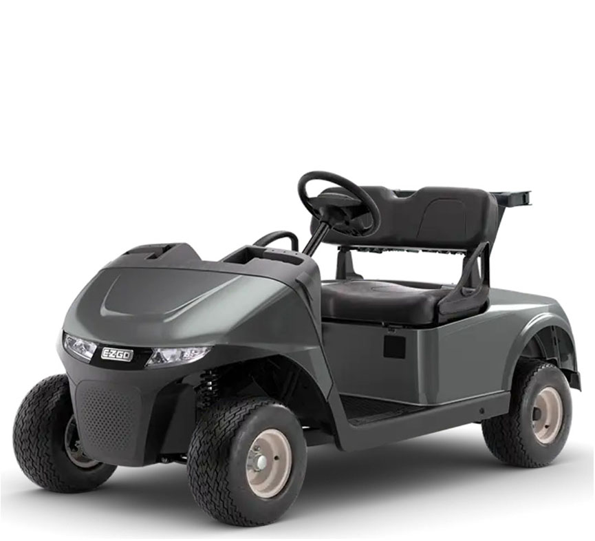 2027 EZGO RXV photo 3