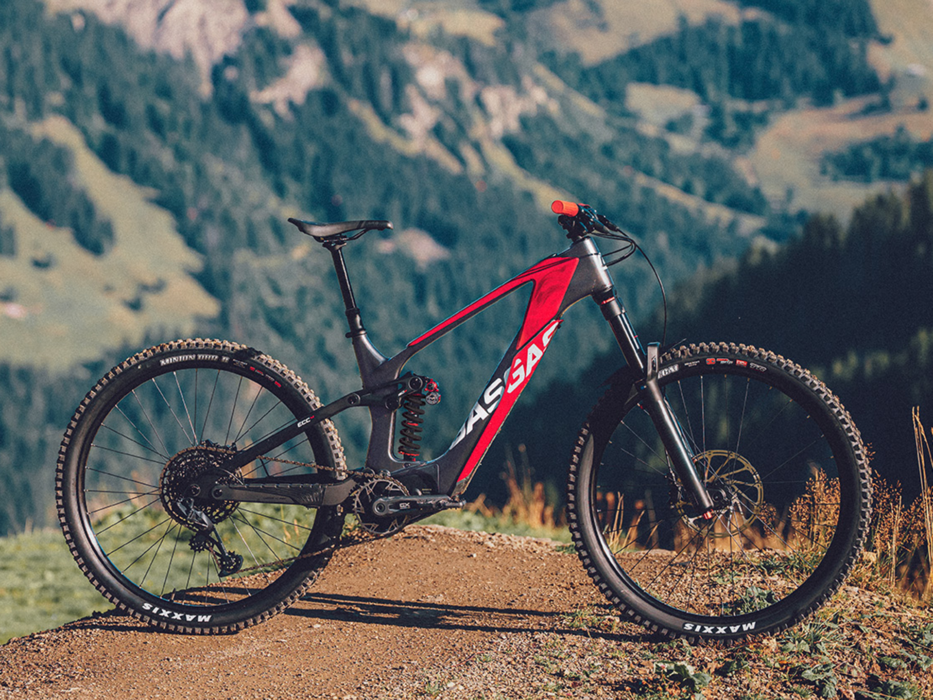 2024 GASGAS ECC 4 - L in Chattanooga, Tennessee - Photo 9