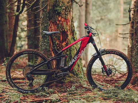 2024 GASGAS ECC 5 - XL in Chattanooga, Tennessee - Photo 9