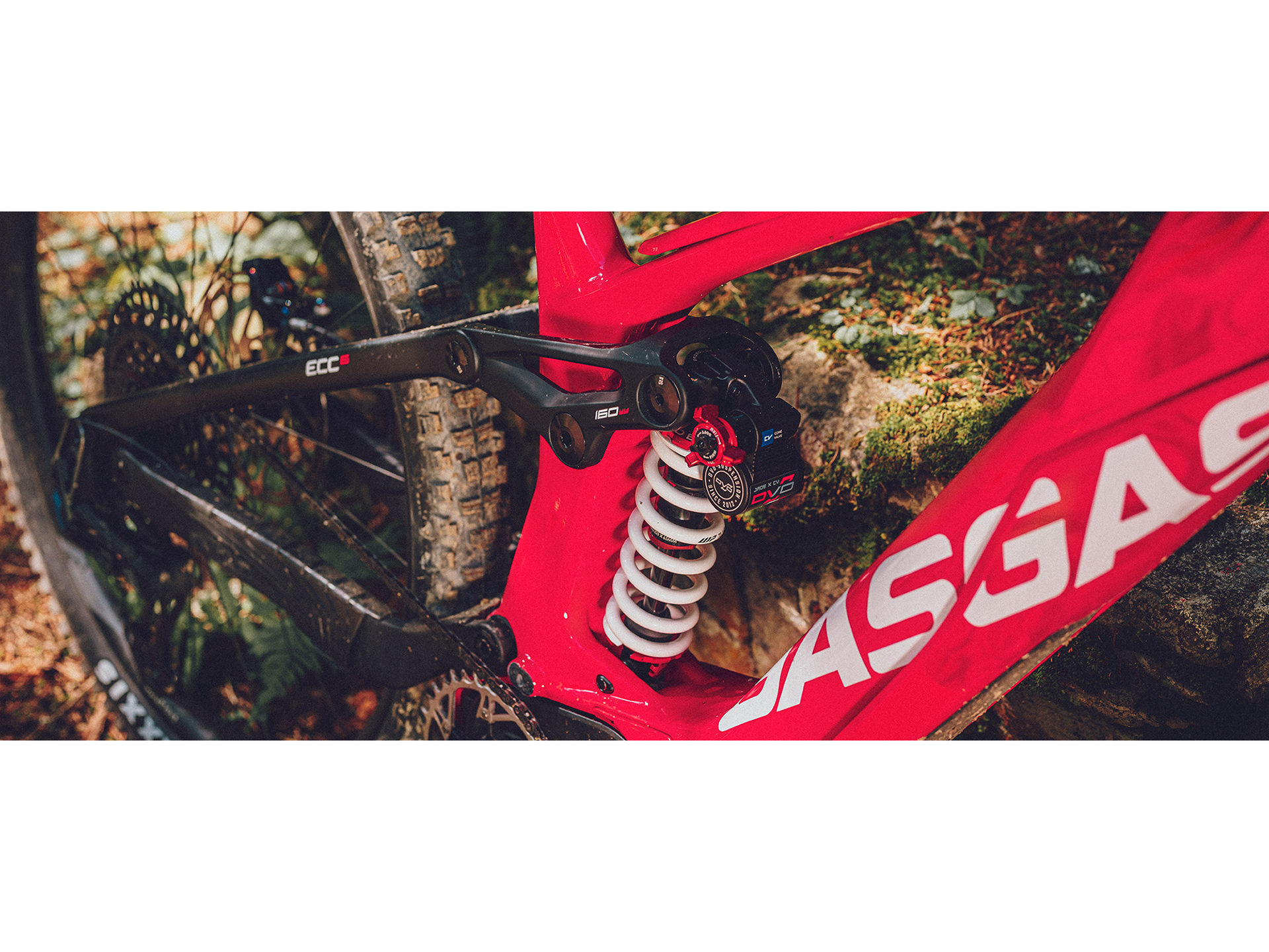 2024 GASGAS ECC 6 - M in Chattanooga, Tennessee - Photo 10