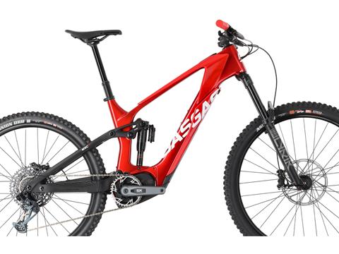 2024 GASGAS MXC 4 - L in Chattanooga, Tennessee - Photo 6