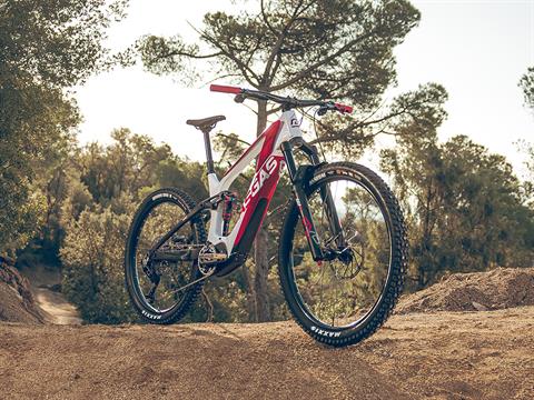 2024 GASGAS MXC 5 - XL in Chattanooga, Tennessee - Photo 5