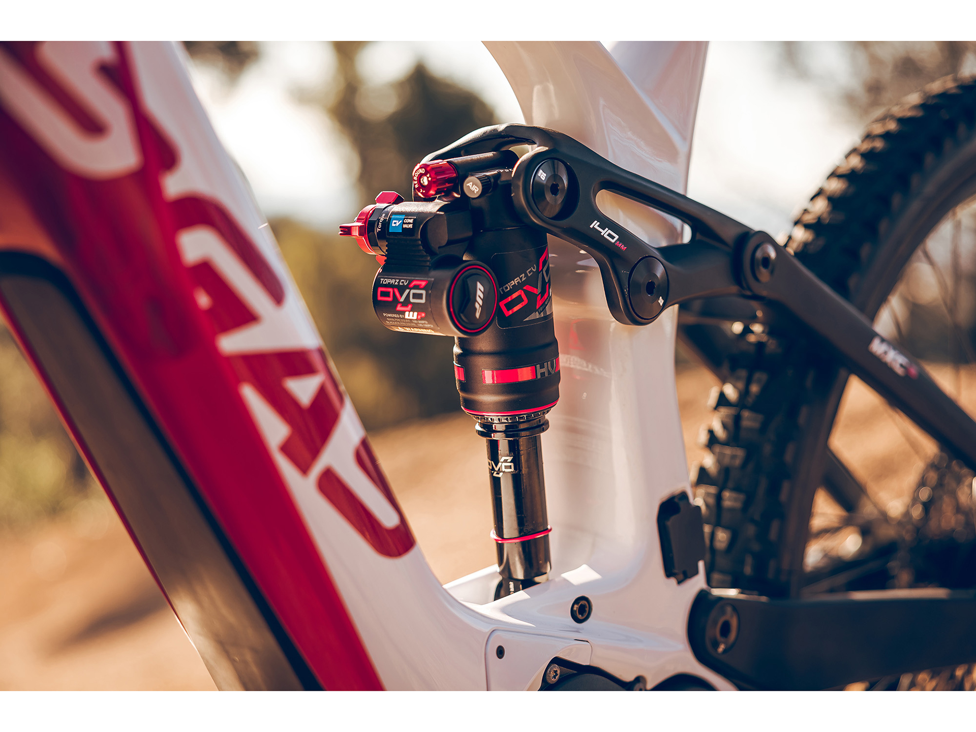 2024 GASGAS MXC 5 - M in Chattanooga, Tennessee - Photo 3