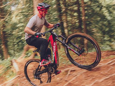 2025 GASGAS ECC 5 - XL in Chattanooga, Tennessee - Photo 9