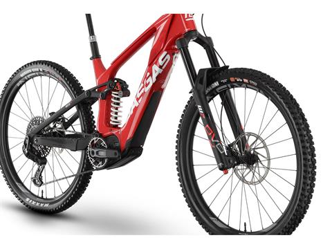 2025 GASGAS ECC 6 - L in Chattanooga, Tennessee - Photo 5