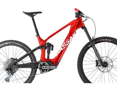 2025 GASGAS MXC 4 - XL in Chattanooga, Tennessee - Photo 7