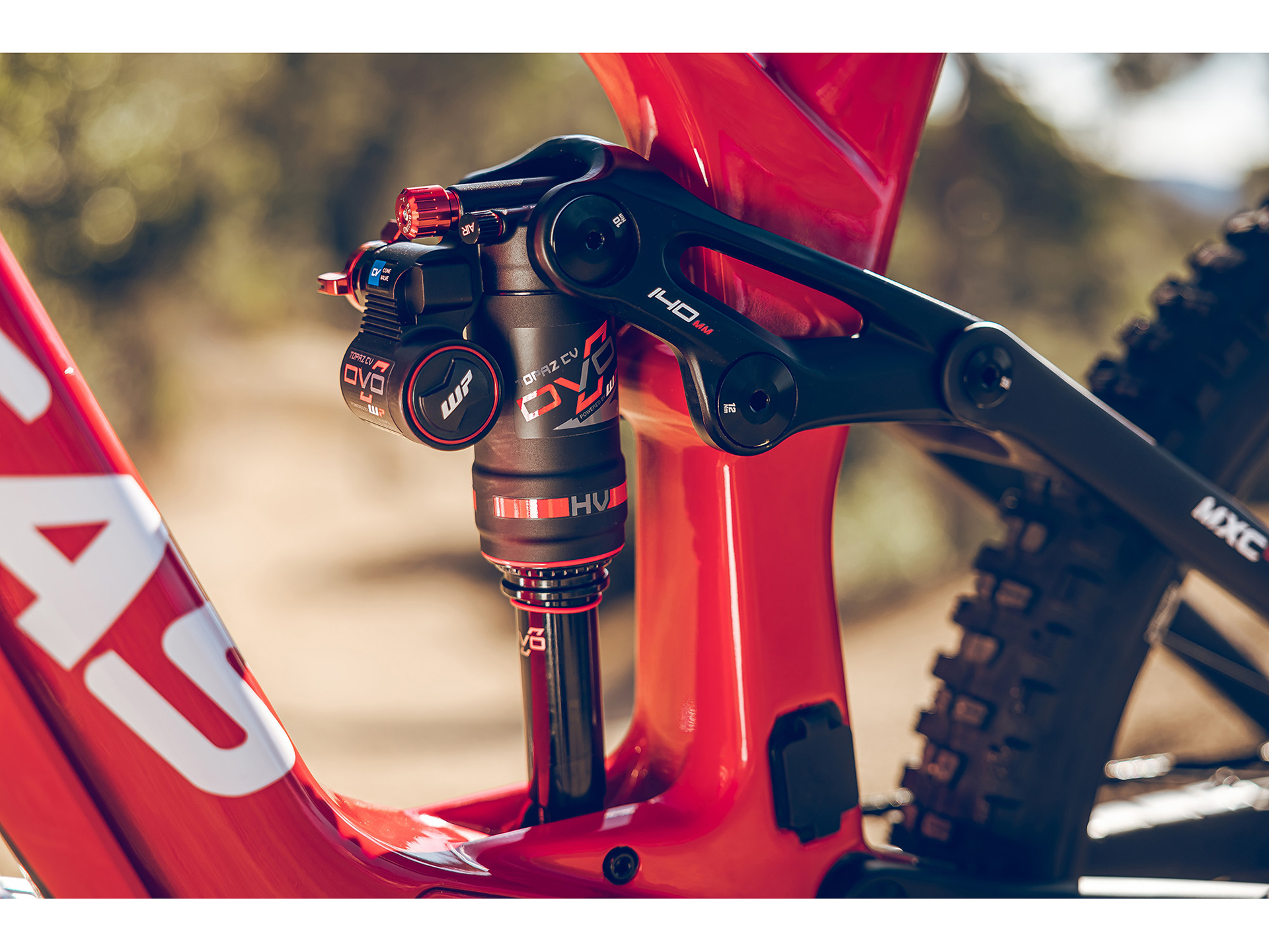 2025 GASGAS MXC 6 - L in Chattanooga, Tennessee - Photo 9