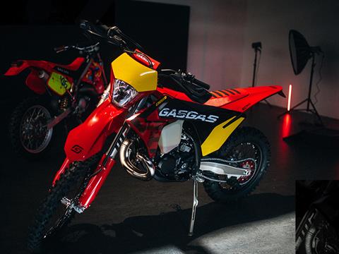 2025 GASGAS EC 300 GP in Billings, Montana - Photo 16