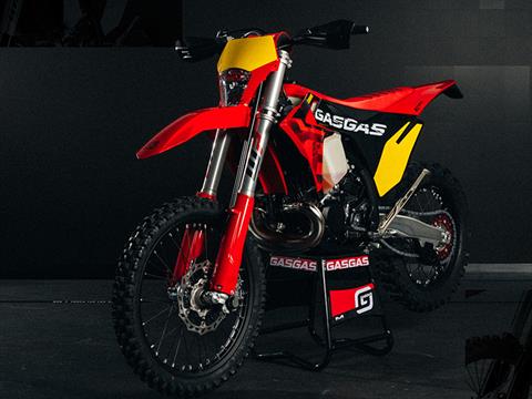 2025 GASGAS EC 300 GP in Billings, Montana - Photo 19
