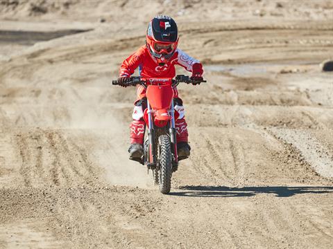 2021 Greenger Powersports CRF E-2 in Houston, Texas - Photo 8