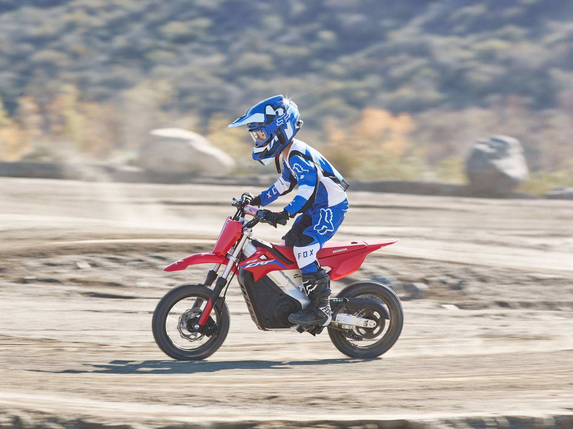 2021 Greenger Powersports CRF E-2 in Houston, Texas - Photo 11