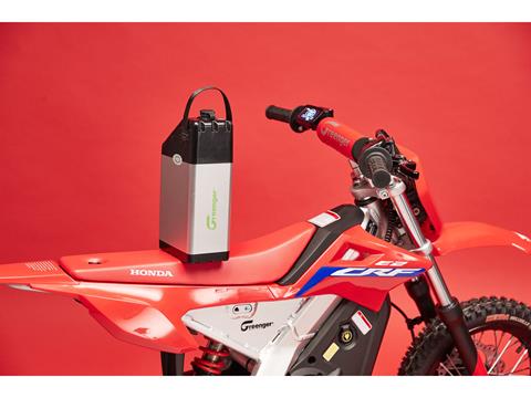 2023 Greenger Powersports CRF-E2 in Fort Pierce, Florida - Photo 5