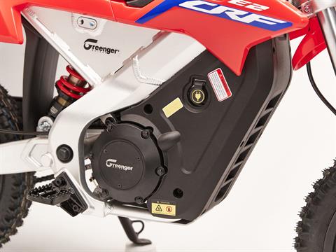 2023 Greenger Powersports CRF-E2 in Fort Pierce, Florida - Photo 13