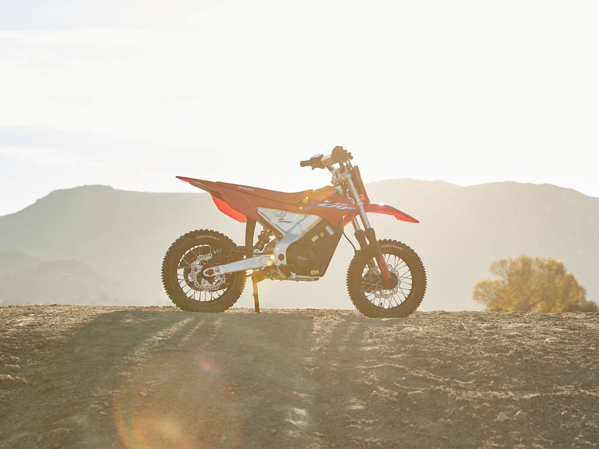2023 Greenger Powersports CRF-E2 in Fort Pierce, Florida - Photo 19