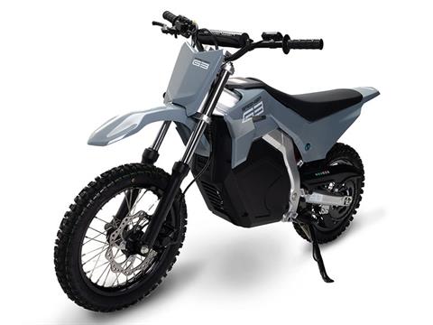 2023 Greenger Powersports G3 in Fort Pierce, Florida - Photo 1