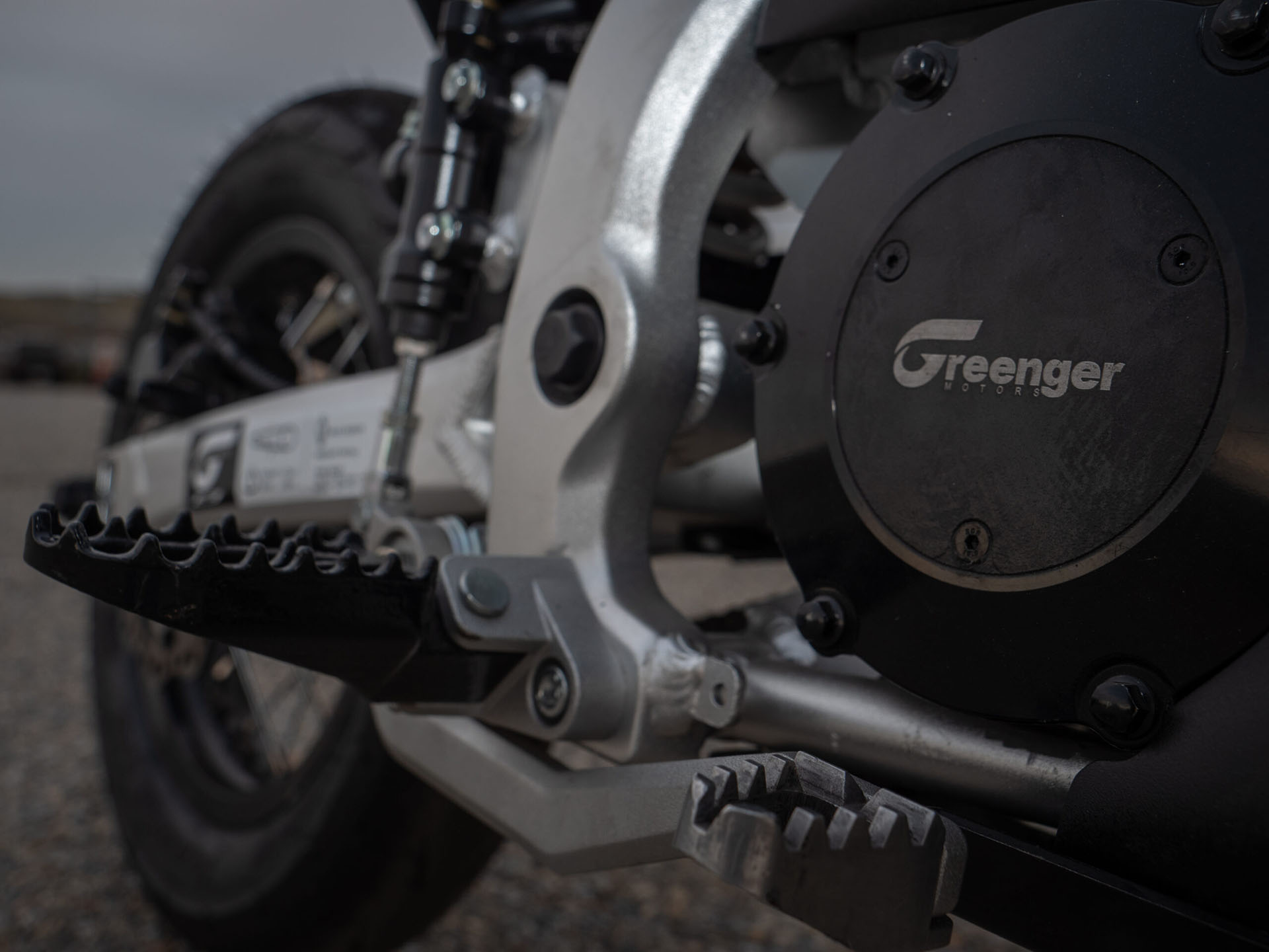 2023 Greenger Powersports G3S in Fort Pierce, Florida - Photo 9