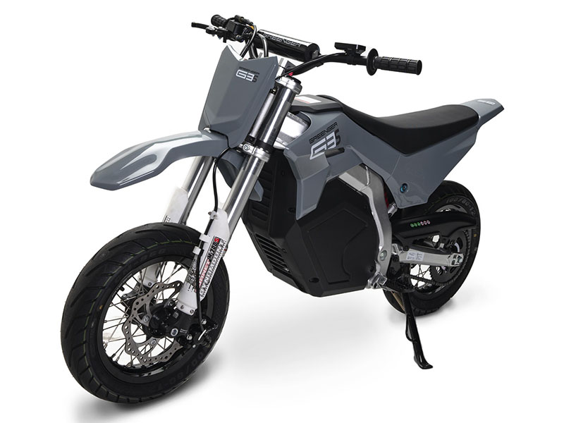 2023 Greenger Powersports G3S in Fort Pierce, Florida - Photo 2