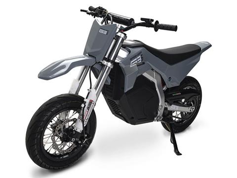 2023 Greenger Powersports G3S in Fort Pierce, Florida - Photo 2