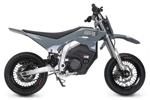2023 Greenger Powersports G3S in Fort Pierce, Florida - Photo 3