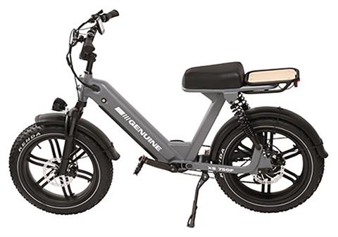 2023 Genuine Scooters XS 750F in Topsham, Maine - Photo 2