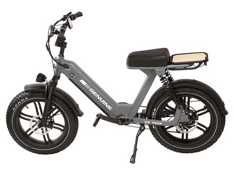 2024 Genuine Scooters XS 750F in Topsham, Maine - Photo 2