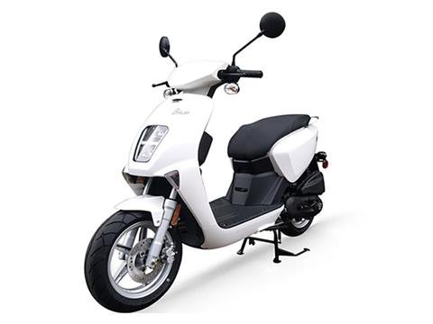2024 Genuine Scooters Brio 50i