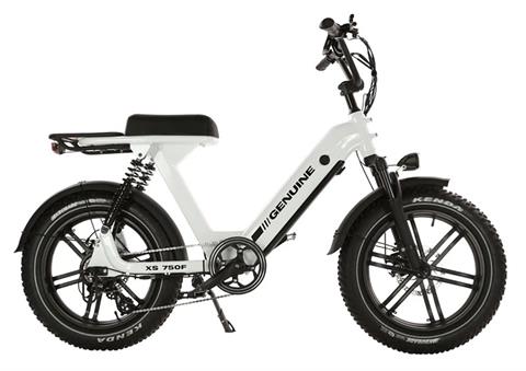 2025 Genuine Scooters XS 750F in Topsham, Maine - Photo 1