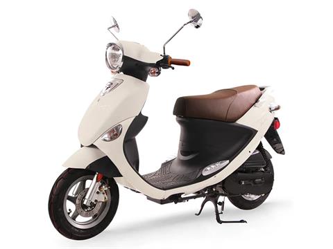 2025 Genuine Scooters Buddy 50 in North Mankato, Minnesota - Photo 1