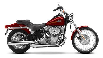 2002 Harley-Davidson FXST/FXSTI Softail®  Standard in Slidell, Louisiana - Photo 11