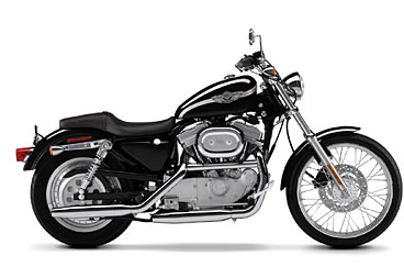 2003 Harley-Davidson XL 883C Sportster® Custom in Davenport, Iowa - Photo 3
