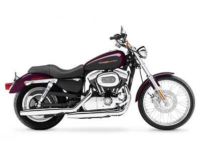 2005 Harley-Davidson Sportster® XL 1200 Custom in Greenville, South Carolina - Photo 1