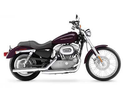 2005 Harley-Davidson Sportster® XL 883C Motorcycle for Sale
